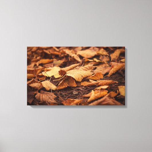 Herbstblätter Leinwanddruck (Vorderseite)