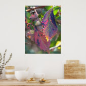 Herbstblätter mit Sonnenlicht Poster (Küche)