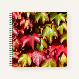 Herbstblätter Notizblock