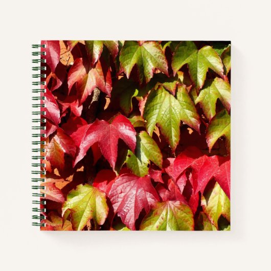 Herbstblätter Notizblock (Vorderseite)