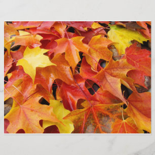 Herbstblätter Orange Gelb Rot Flyer Papier