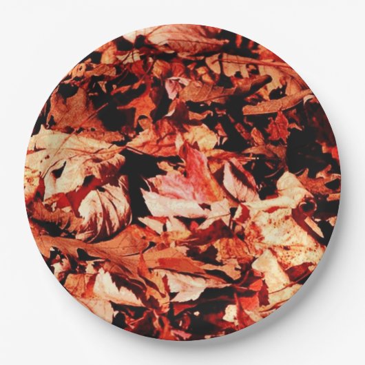 Herbstblätter Pappteller (Vorderseite)