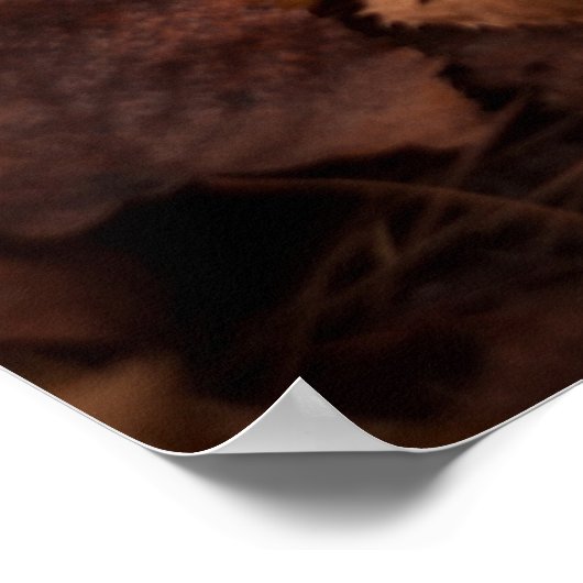 Herbstblätter Poster (Ecke)