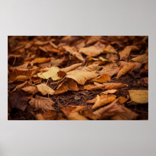 Herbstblätter Poster