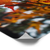 Herbstblätter Poster (Ecke)