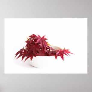 Herbstblätter Poster