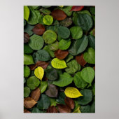 Herbstblätter Poster (Vorne)