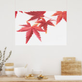 Herbstblätter Poster (Küche)