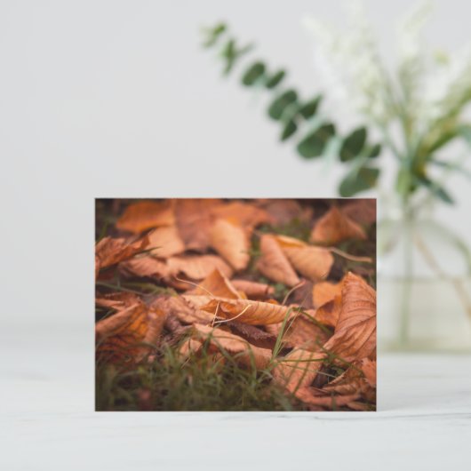 Herbstblätter Postkarte (Stehend Vorderseite)