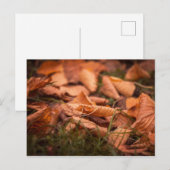Herbstblätter Postkarte (Vorne/Hinten)
