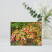 Herbstblätter Postkarte (Stehend Vorderseite)