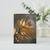 Herbstblätter Postkarte (Stehend Vorderseite)