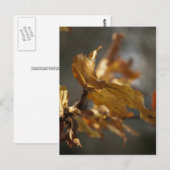 Herbstblätter Postkarte (Vorne/Hinten)