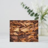 Herbstblätter Postkarte (Stehend Vorderseite)