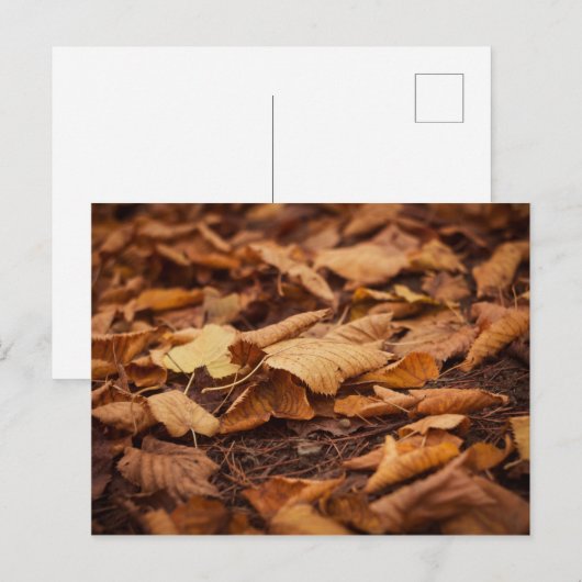 Herbstblätter Postkarte (Vorne/Hinten)