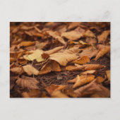 Herbstblätter Postkarte (Vorderseite)