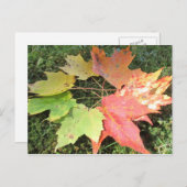 Herbstblätter Postkarte (Vorne/Hinten)
