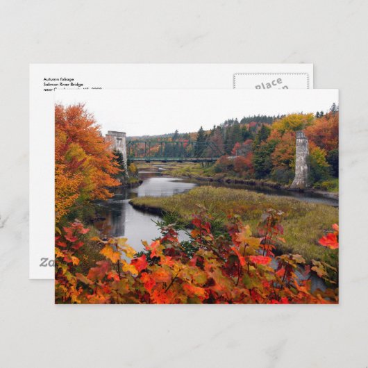 Herbstblätter Postkarte (Vorne/Hinten)