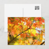 Herbstblätter [Postkarte] Postkarte (Vorne/Hinten)