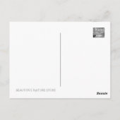 Herbstblätter [Postkarte] Postkarte (Rückseite)