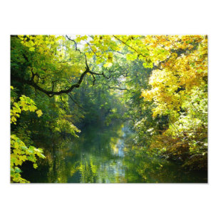 Herbstblätter über dem Fluss Fotodruck