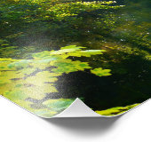 Herbstblätter über dem Fluss Fotodruck (Ecke)