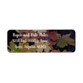 Herbstblätter überall (Vorne)