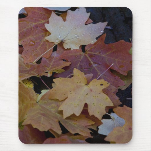Herbstblätter überall mousepad (Vorne)