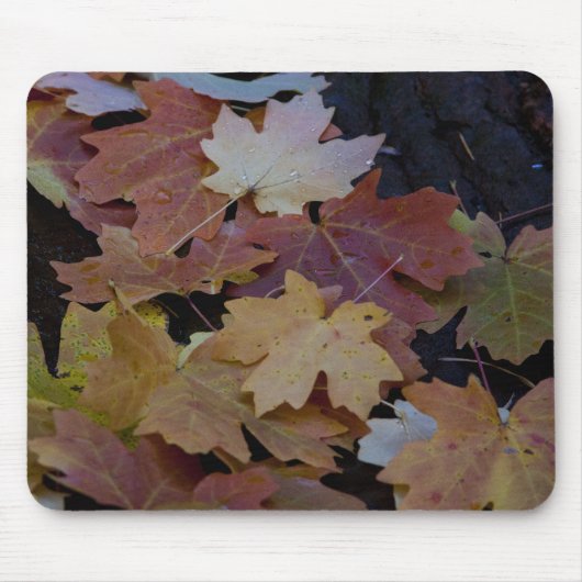 Herbstblätter überall mousepad (Vorne)