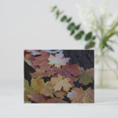 Herbstblätter überall postkarte (Stehend Vorderseite)