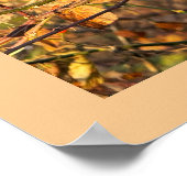 Herbstblätter und Berries Poster (Ecke)