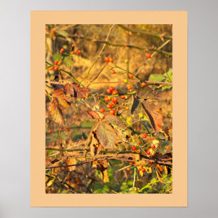 Herbstblätter und Berries Poster
