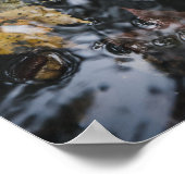 Herbstblätter und Eichen in geheimnisvollen Gewäss Poster (Ecke)