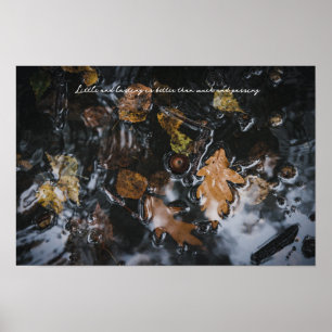 Herbstblätter und Eichen in geheimnisvollen Gewäss Poster