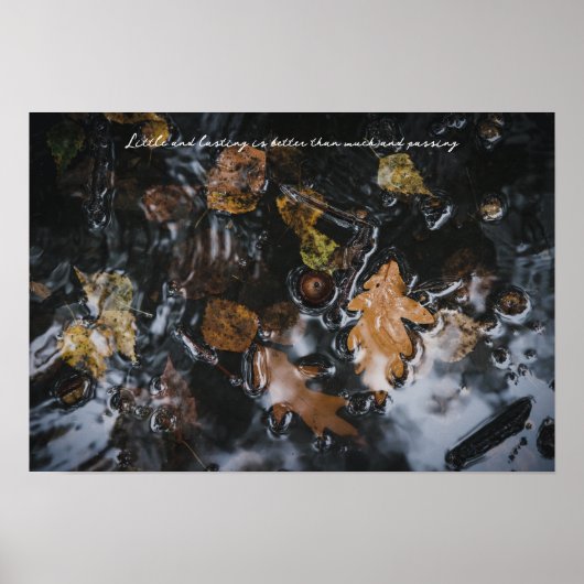 Herbstblätter und Eichen in geheimnisvollen Gewäss Poster (Vorne)