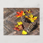 Herbstblätter und Pinecones Postkarte (Vorderseite)