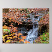 Herbstblätter und Wasserfall Foto Poster (Vorne)