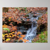 Herbstblätter und Wasserfall Foto Poster (Vorne)