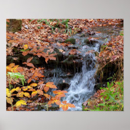 Herbstblätter und Wasserfall Foto Poster