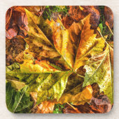 Herbstblätter Untersetzer (Vorderseite)
