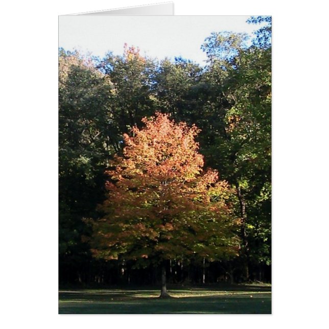 Herbstblätter ( Vorlage) (Vorne)