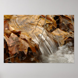 Herbstblätter Wasserfall Poster
