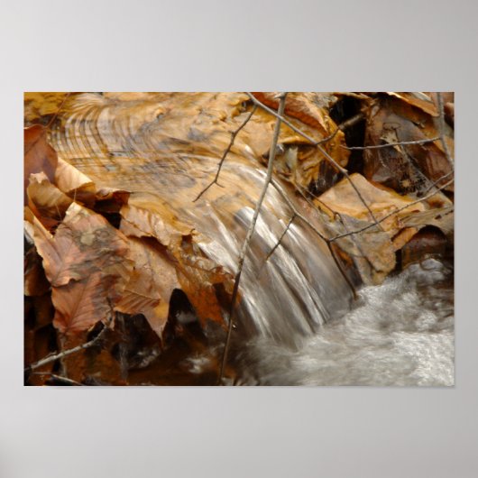 Herbstblätter Wasserfall Poster (Vorne)