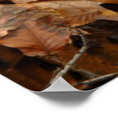 Herbstblätter Wasserfall Poster (Ecke)