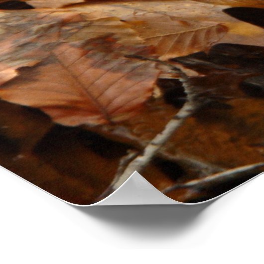 Herbstblätter Wasserfall Poster (Ecke)