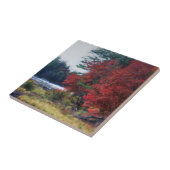 Herbstblätterteig Natur Kunst Fliese (Seite)