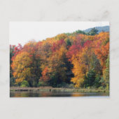 Herbstblätterteig Natur Personalisiert Postkarte (Vorderseite)