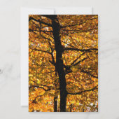 Herbstblätterung (Rückseite)