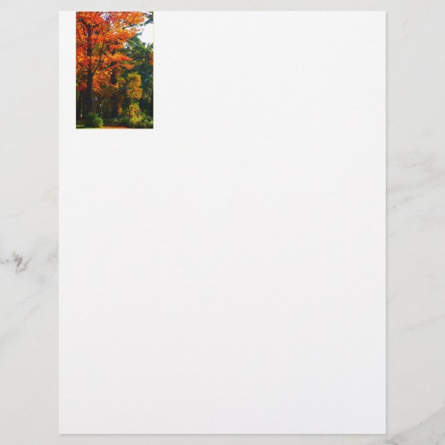 Herbstblätterung (Vorderseite)