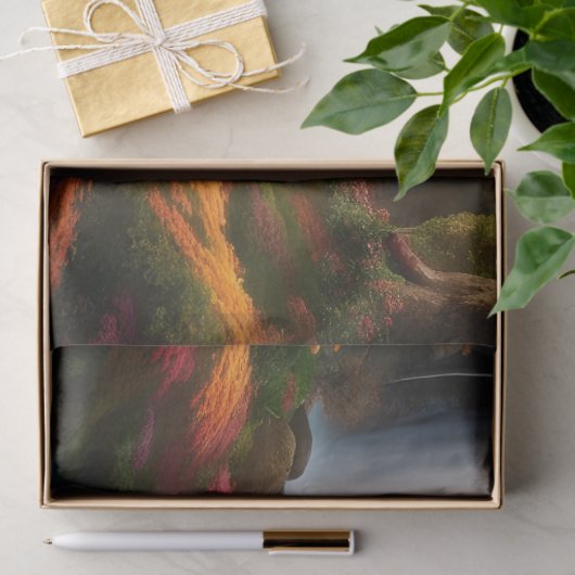 Herbstblätterung am Wasserfall Seidenpapier (Geschenk)